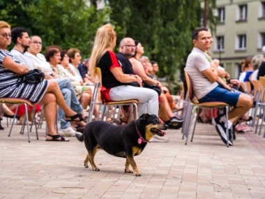 Studenci Instytutu Muzyki UR dla Tomasza Stańko - 13