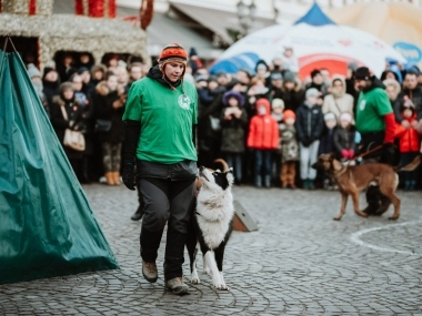 28 Finał WOŚP w Rzeszowie - 22