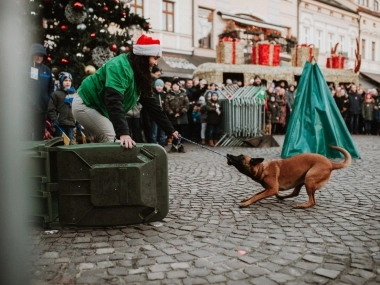 28 Finał WOŚP w Rzeszowie - 25