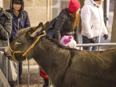 Świąteczne Miasteczko 2016 - 89