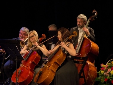 Koncert Karnawałowe Nastroje - 14