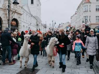 Wizyta Mikołaja na Rynku w Rzeszowie - 18